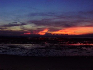 baluran-national-park