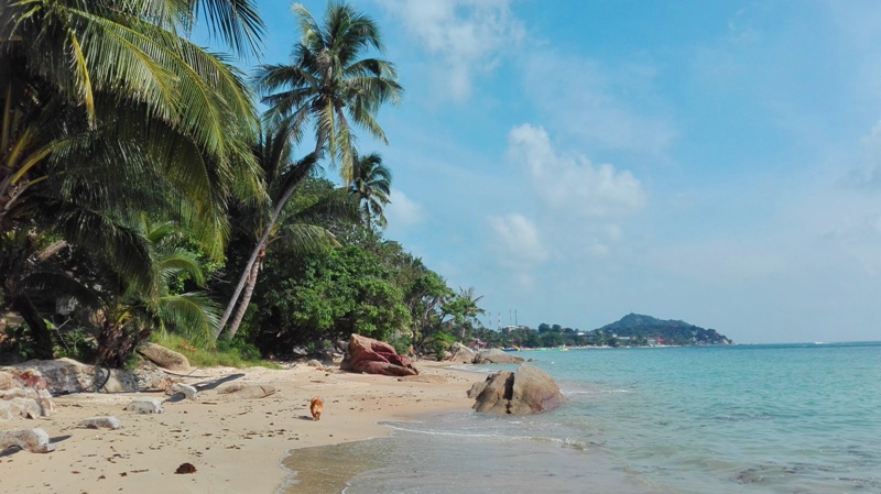 beach on the west side of Haad Rin