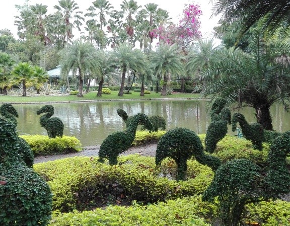 Tweechol Botanical Garden in Chiang Mai