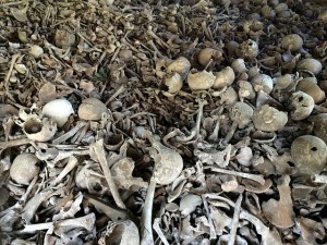 killing fields