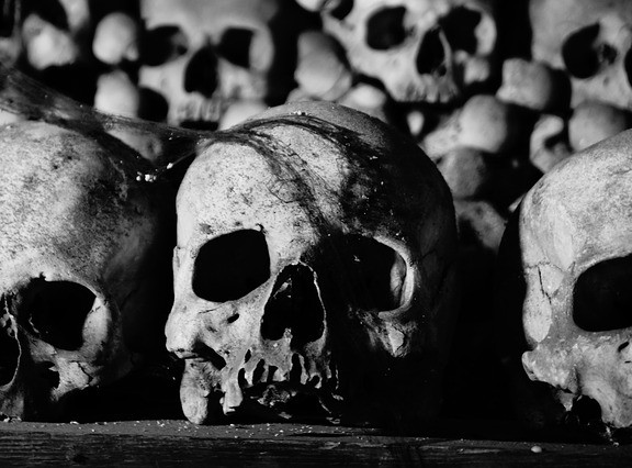 skulls in museum