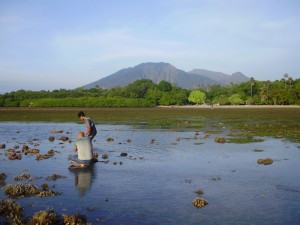 Fishing in Baluran