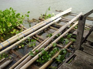 Floating village in Sengkang