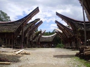 Traditional houses in Tana Toraja