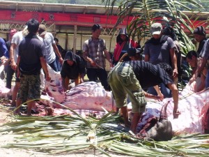 funeral ceremony in Tana Toraja