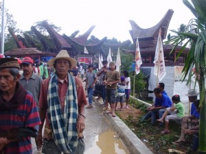 cockfight in Indonesia