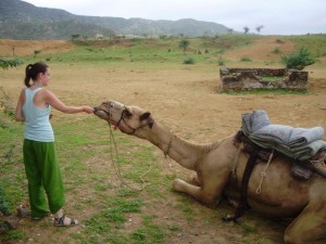 Camel Safari in Pushkar