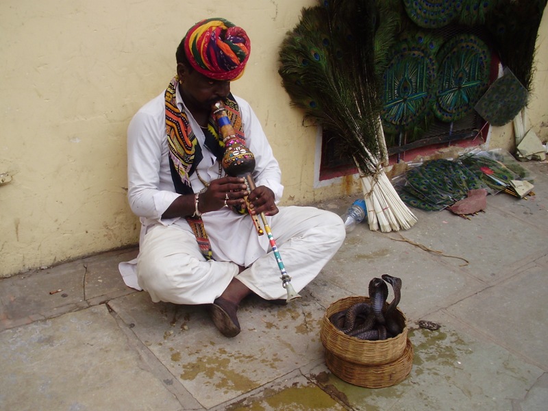 Cobra dance, Jaipur
