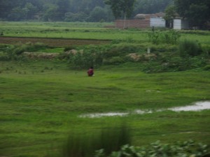 train in india