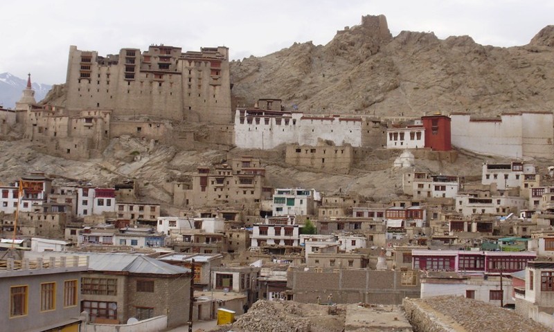 Leh Palace