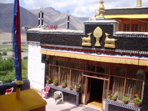 spituk monastery