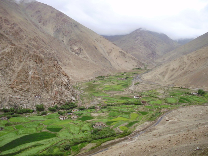 road to pangong lake