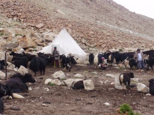 On the way to pangong lake