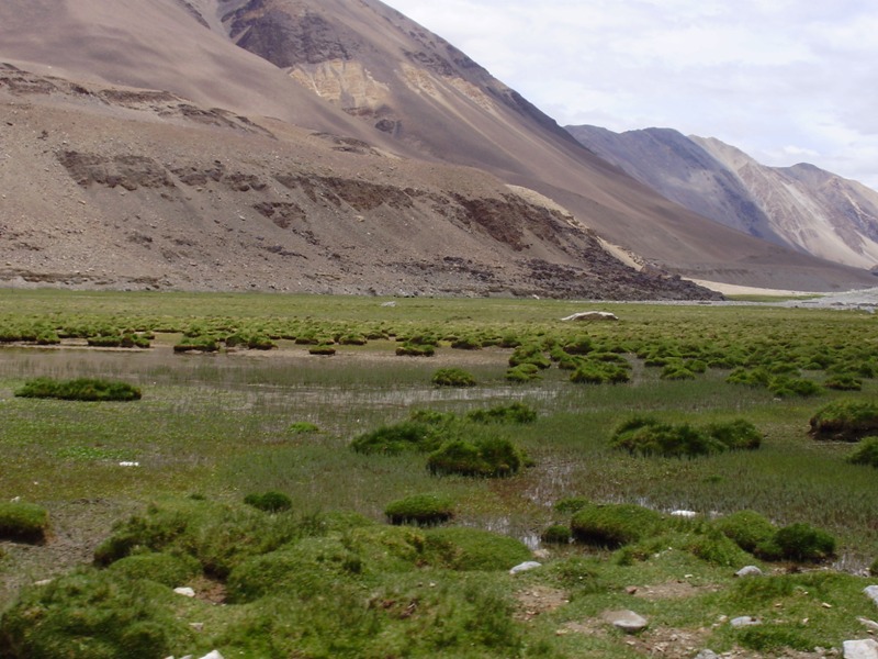 on the way pangong lake