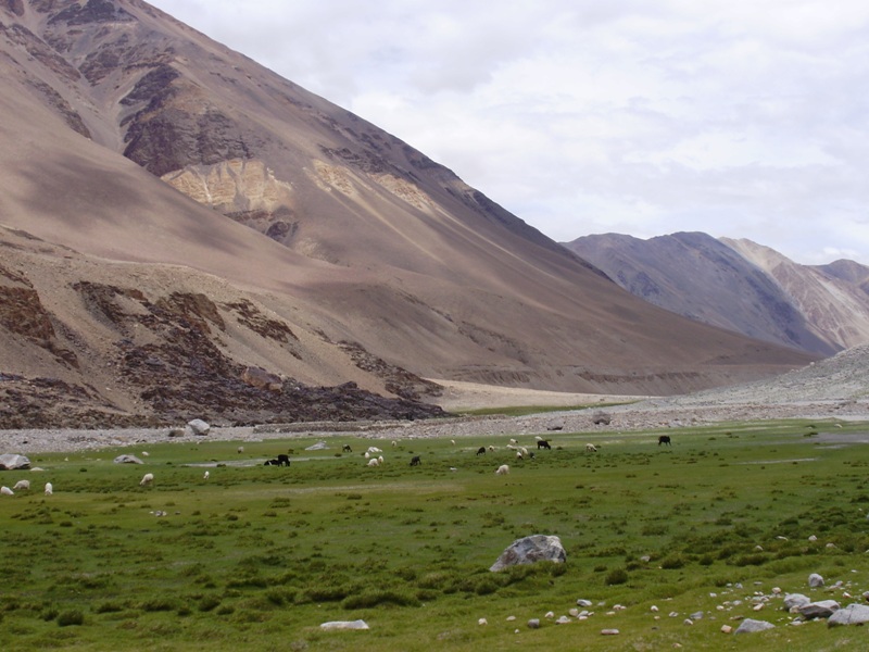 on the way pangong lake