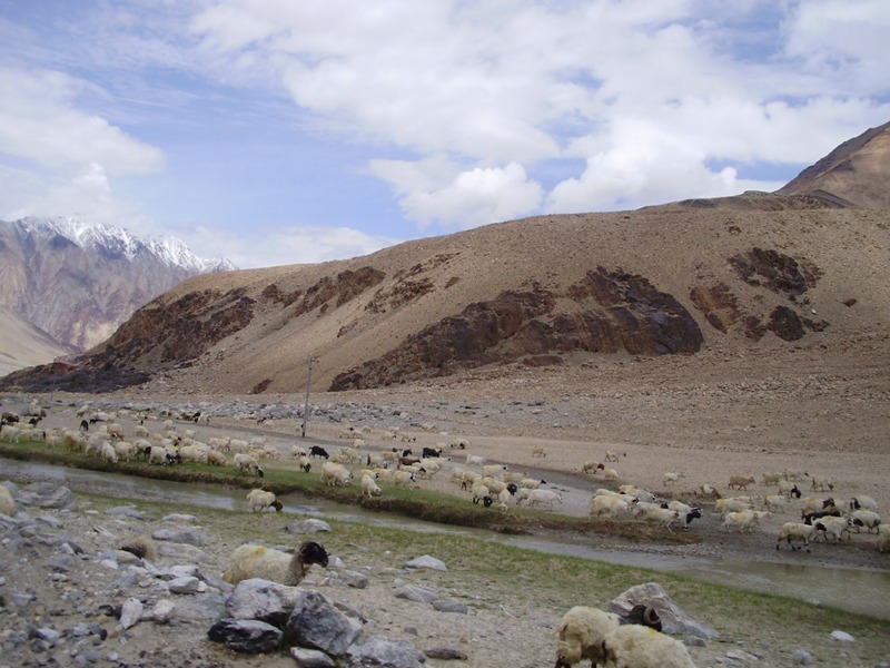 on the way pangong lake