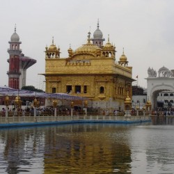 10 activities and things to do in Golden Temple in Amritsar