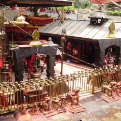 Daksinkali temple in Nepal and mass animal sacrifices