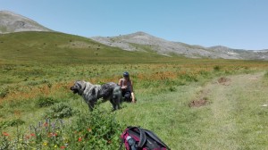 Hiking in Mavrovo national park