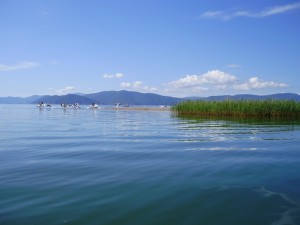 Snake island, Golem Grad