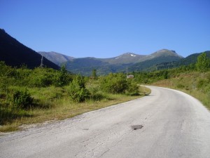 Nizhepole