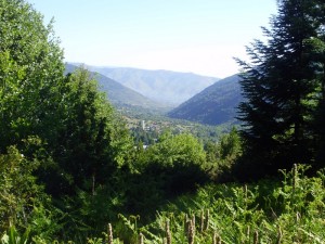 Pelister National Park