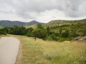 way to Kuklica