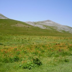 Hiking in Mavrovo national park through beautiful meadows