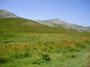 Hiking in Mavrovo national park