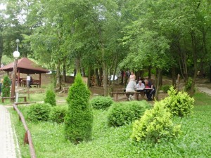 middle vodno