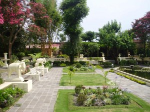 garden of dreams