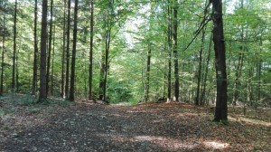 Hiking near Macocha