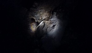 Fossil cave