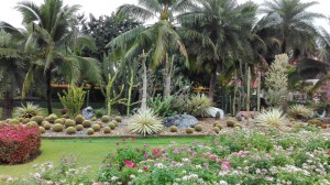 Tweechol Botanical Garden