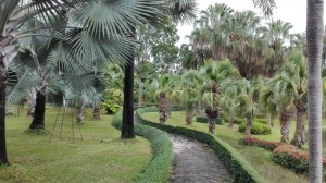 Tweechol Botanical Garden in Chiang Mai