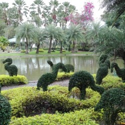 Exploring Amazing Tweechol Botanical Garden in Thailand