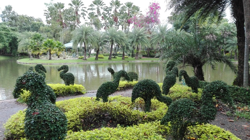 Tweechol Botanical Garden in Chiang Mai