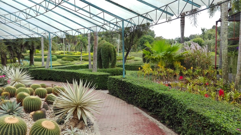 Tweechol Botanical Garden in Chiang Mai