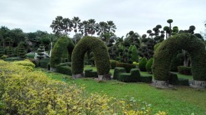 Tweechol Botanical Garden in Chiang Mai