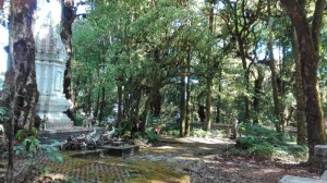 Doi Inthanon