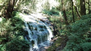 Nature trail Mae Pan