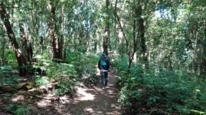 Nature trail Mae Pan