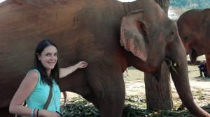 Elephant Park in North Thailand