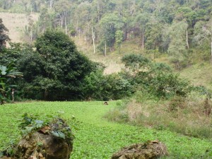 trek and caving in thailand