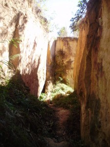 Land Split, Pai