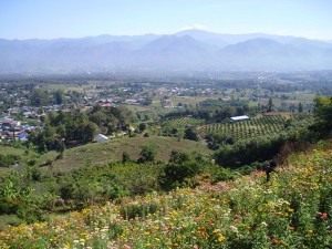 Yun Lai Viewpoint