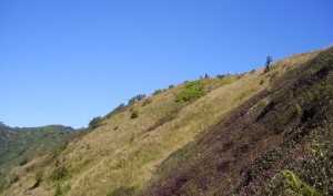 Mae Pan Trail
